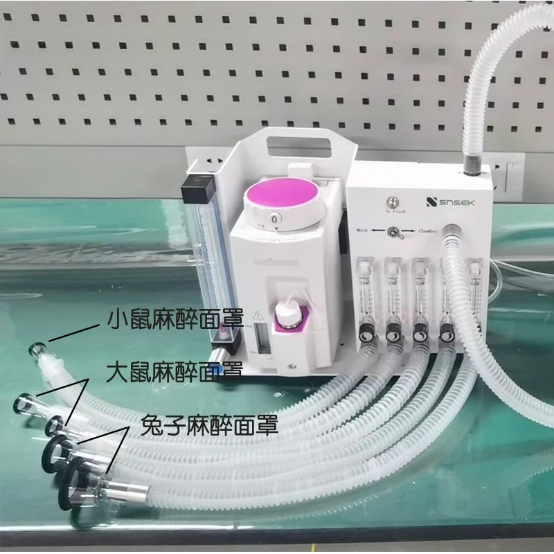 의료 전문가 실험실 장비 소동물 마우스 호흡 마취기 토 - Medical Lab Professional 리뷰 및 가격