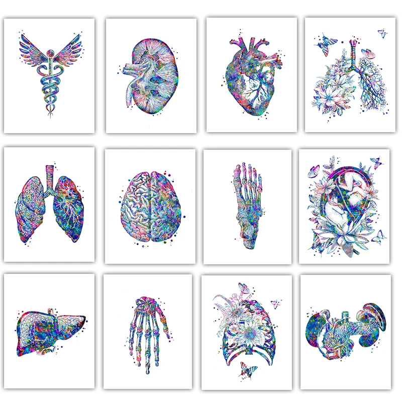 해부학 의료 포스터 꽃 오르간 벽 아트 캔버스 그림,  - Medical Lab Posters 리뷰 및 가격