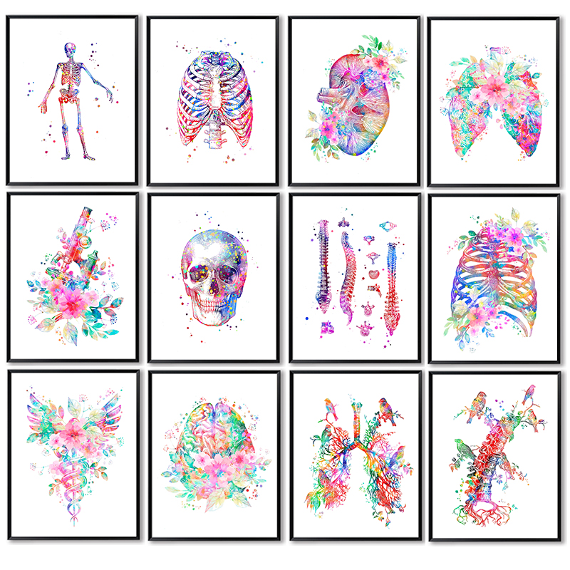 해부학 의료 포스터 꽃 장기 벽 예술 캔버스 그림 인류 - Medical Lab Posters 리뷰 및 가격