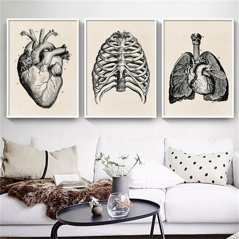 의료 해부학 아트워크 캔버스 아트 포스터, 빈티지 근골 - Medical Lab Posters 리뷰 및 가격