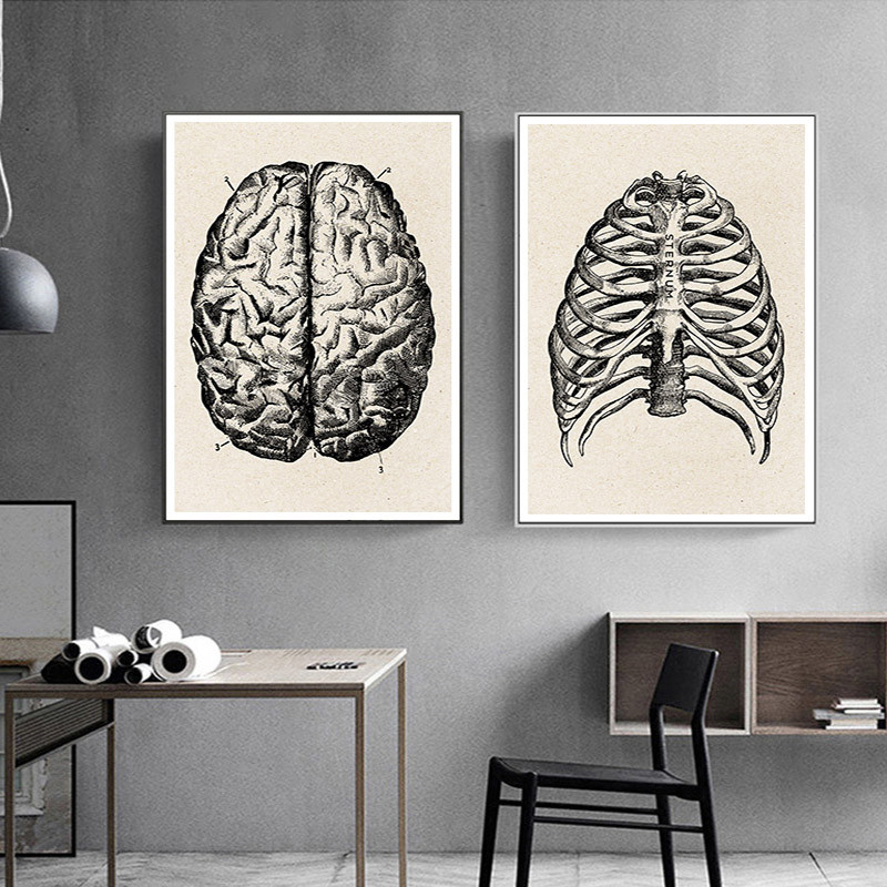 의료 해부학 아트워크 캔버스 아트 포스터, 빈티지 근골 - Medical Lab Posters 리뷰 및 가격