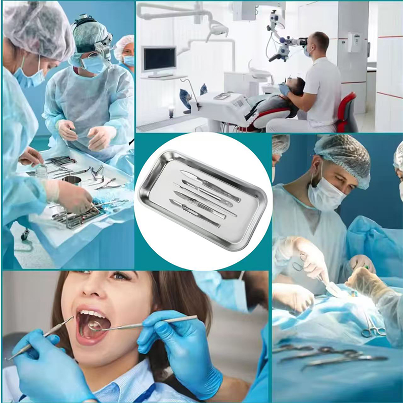 스테인레스 스틸 치과 의료 트레이 소독 수술 보관 접시 - Medical Lab Instruments 리뷰 및 가격